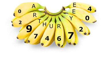Contact Us for Wholesale Bananas Sydney NSW Australia