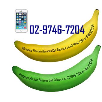 Wholesale Bananas Sydney NSW Australia Wholesale Bananas Sydney NSW Australia
