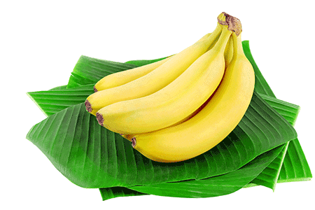 Wholesale Bananas Sydney NSW Australia